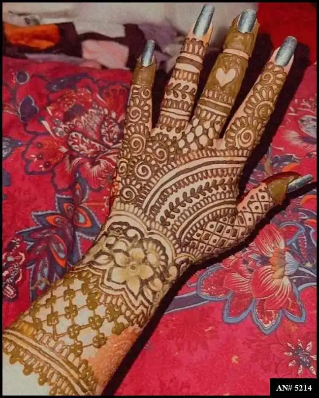 Indian Mehndi Design