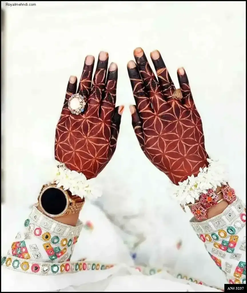 Pakistani Mehndi Design