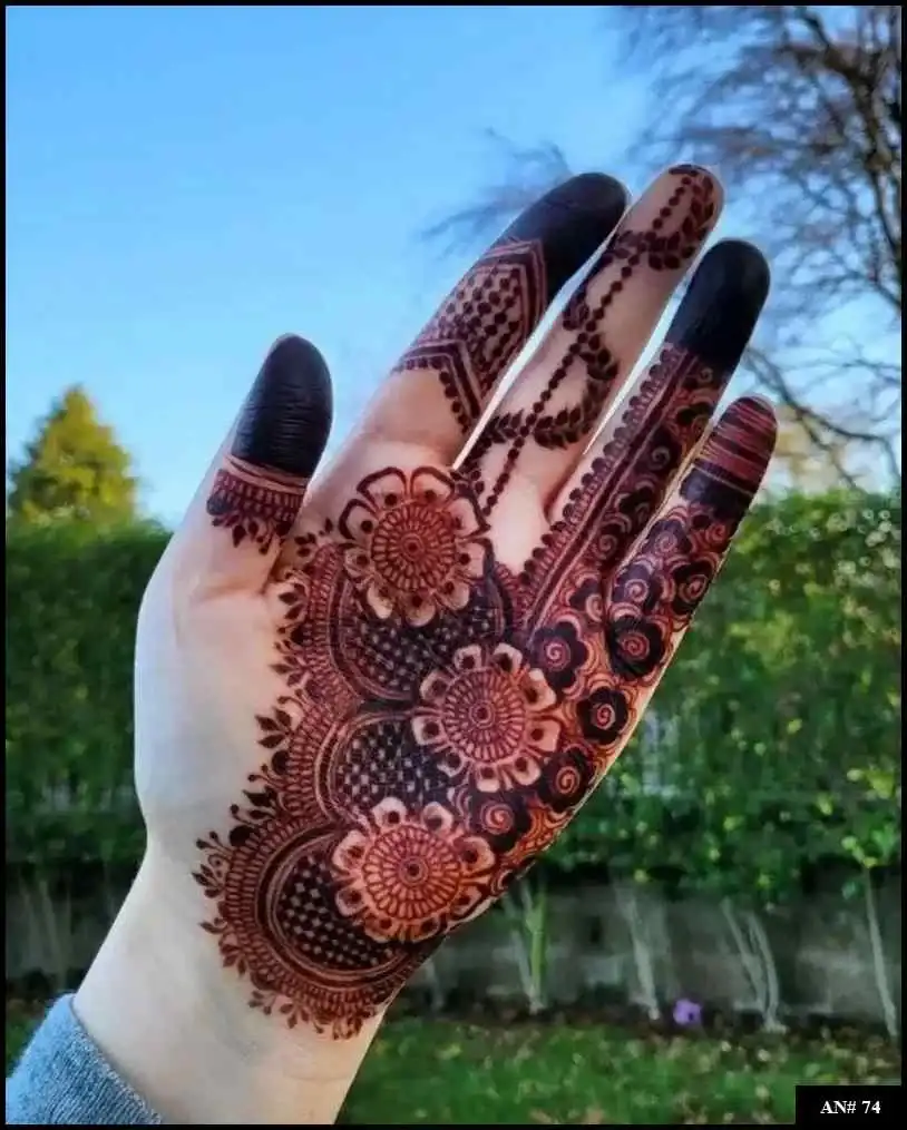 Pakistani Mehndi Design