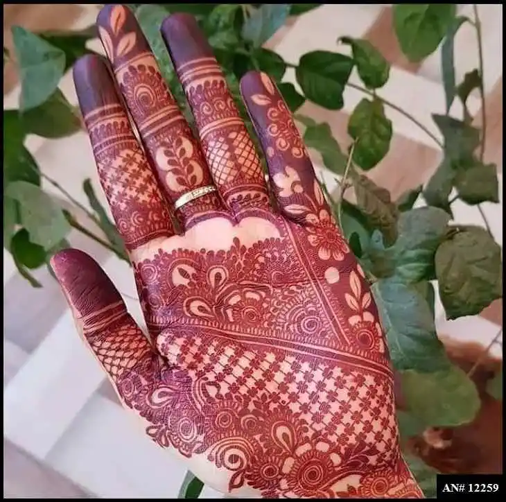 Modern Mehndi Design